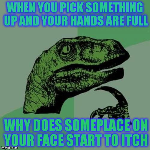 Philosoraptor Meme | WHEN YOU PICK SOMETHING UP AND YOUR HANDS ARE FULL; WHY DOES SOMEPLACE ON YOUR FACE START TO ITCH | image tagged in memes,philosoraptor | made w/ Imgflip meme maker