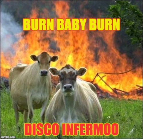 Evil Cows | BURN BABY BURN; DISCO INFERMOO | image tagged in memes,evil cows | made w/ Imgflip meme maker