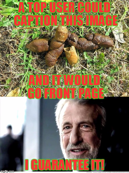 The state of IMGFLIP | A TOP USER COULD CAPTION THIS IMAGE; AND IT WOULD GO FRONT PAGE; I GUARANTEE IT! | image tagged in shiny turd | made w/ Imgflip meme maker