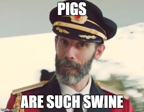 Captain Obvious | PIGS; ARE SUCH SWINE | image tagged in captain obvious | made w/ Imgflip meme maker