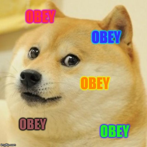 Doge | OBEY; OBEY; OBEY; OBEY; OBEY | image tagged in memes,doge | made w/ Imgflip meme maker