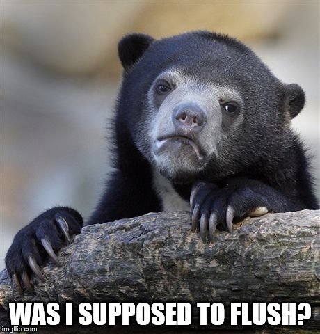 Confession Bear Meme | WAS I SUPPOSED TO FLUSH? | image tagged in memes,confession bear | made w/ Imgflip meme maker