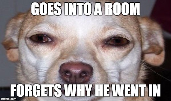 GOES INTO A ROOM; FORGETS WHY HE WENT IN | image tagged in the room | made w/ Imgflip meme maker