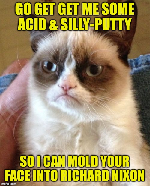 Grumpy Cat Meme | GO GET GET ME SOME ACID & SILLY-PUTTY; SO I CAN MOLD YOUR FACE INTO RICHARD NIXON | image tagged in memes,grumpy cat | made w/ Imgflip meme maker