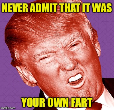 NEVER ADMIT THAT IT WAS; YOUR OWN FART | image tagged in donald trump | made w/ Imgflip meme maker