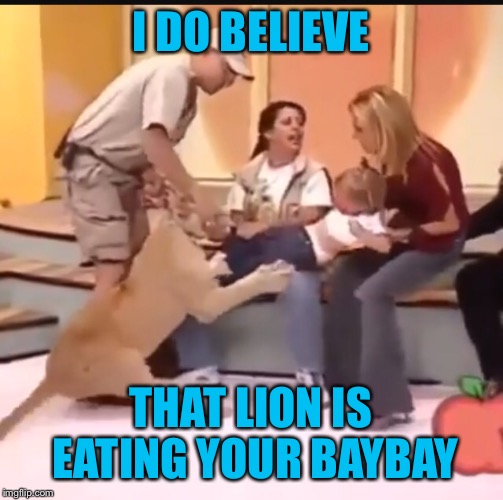 Yeah, so this happened.... On a live Mexican morning TV show. #hungergames #lionswilleatbabies | I DO BELIEVE; THAT LION IS EATING YOUR BAYBAY | image tagged in memes,reality tv,happy hunger games,lions | made w/ Imgflip meme maker