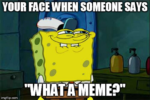 Don't You Squidward Meme | YOUR FACE WHEN SOMEONE SAYS; "WHAT A MEME?" | image tagged in memes,dont you squidward | made w/ Imgflip meme maker