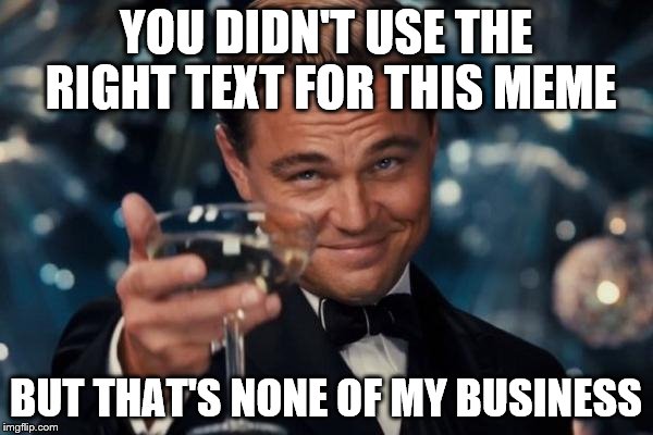 Leonardo Dicaprio Cheers Meme | YOU DIDN'T USE THE RIGHT TEXT FOR THIS MEME BUT THAT'S NONE OF MY BUSINESS | image tagged in memes,leonardo dicaprio cheers | made w/ Imgflip meme maker