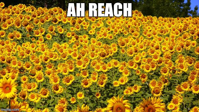 Ah Reach | AH REACH | image tagged in meme addict | made w/ Imgflip meme maker