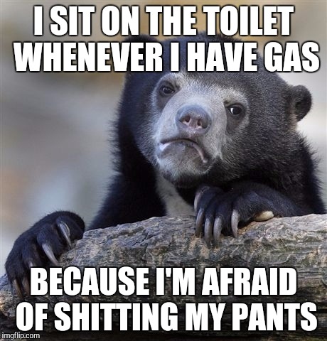 Confession Bear Meme | I SIT ON THE TOILET WHENEVER I HAVE GAS; BECAUSE I'M AFRAID OF SHITTING MY PANTS | image tagged in memes,confession bear,AdviceAnimals | made w/ Imgflip meme maker