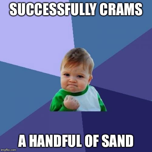 Success Kid Meme | SUCCESSFULLY CRAMS A HANDFUL OF SAND | image tagged in memes,success kid | made w/ Imgflip meme maker