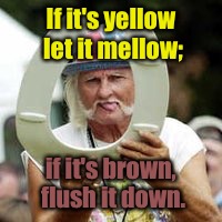 If it's yellow let it mellow; if it's brown, flush it down. | made w/ Imgflip meme maker