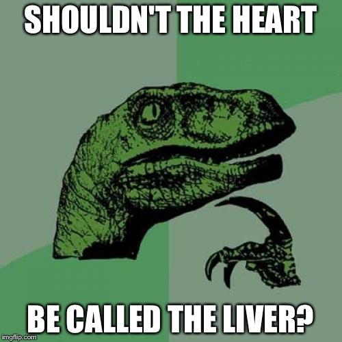 Philosoraptor Meme | SHOULDN'T THE HEART; BE CALLED THE LIVER? | image tagged in memes,philosoraptor | made w/ Imgflip meme maker