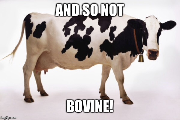 AND SO NOT BOVINE! | made w/ Imgflip meme maker