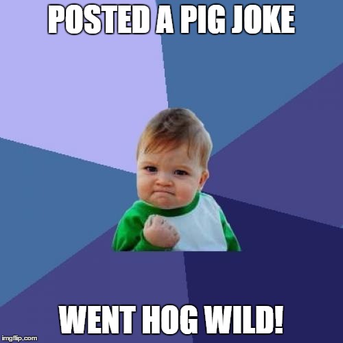 Success Kid Meme | POSTED A PIG JOKE WENT HOG WILD! | image tagged in memes,success kid | made w/ Imgflip meme maker