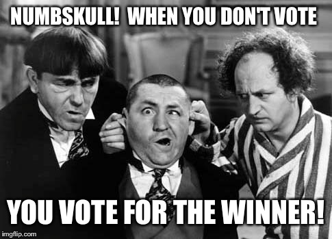 NUMBSKULL!  WHEN YOU DON'T VOTE YOU VOTE FOR THE WINNER! | made w/ Imgflip meme maker