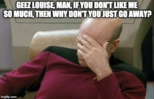 Captain Picard Facepalm Meme | GEEZ LOUISE, MAN, IF YOU DON'T LIKE ME SO MUCH, THEN WHY DON'T YOU JUST GO AWAY? | image tagged in memes,captain picard facepalm | made w/ Imgflip meme maker