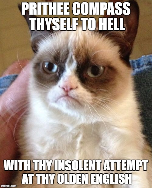 Grumpy Cat Meme | PRITHEE COMPASS THYSELF TO HELL WITH THY INSOLENT ATTEMPT AT THY OLDEN ENGLISH | image tagged in memes,grumpy cat | made w/ Imgflip meme maker