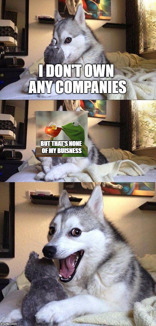 Bad Pun Dog Meme | I DON'T OWN ANY COMPANIES BUT THAT'S NONE OF MY BUISNESS | image tagged in memes,bad pun dog | made w/ Imgflip meme maker