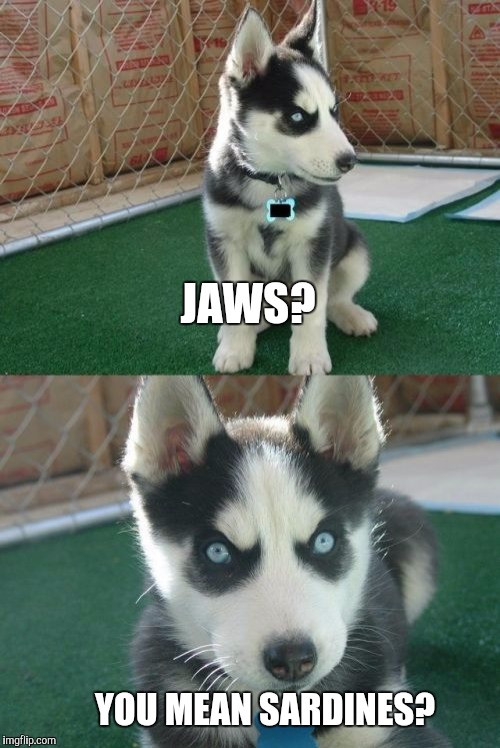 Insanity Puppy | JAWS? YOU MEAN SARDINES? | image tagged in memes,insanity puppy | made w/ Imgflip meme maker