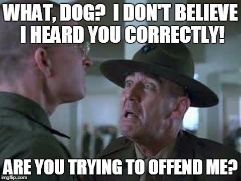 WHAT, DOG?  I DON'T BELIEVE I HEARD YOU CORRECTLY! ARE YOU TRYING TO OFFEND ME? | made w/ Imgflip meme maker