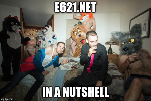 FURRY ROOM PARTY | E621.NET; IN A NUTSHELL | image tagged in furry room party | made w/ Imgflip meme maker