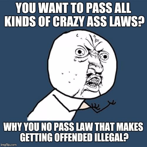 Y U No | YOU WANT TO PASS ALL KINDS OF CRAZY ASS LAWS? WHY YOU NO PASS LAW THAT MAKES GETTING OFFENDED ILLEGAL? | image tagged in memes,y u no | made w/ Imgflip meme maker