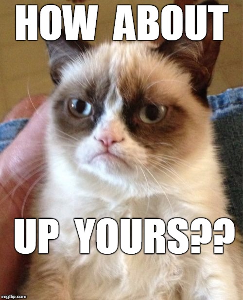 Grumpy Cat Meme | HOW  ABOUT UP  YOURS?? | image tagged in memes,grumpy cat | made w/ Imgflip meme maker