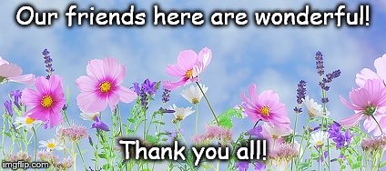 Our friends here are wonderful! Thank you all! | made w/ Imgflip meme maker
