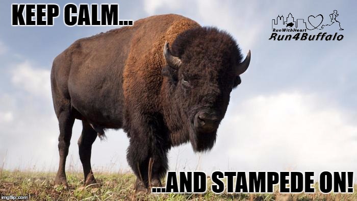 Buffalo | KEEP CALM... ...AND STAMPEDE ON! | image tagged in buffalo | made w/ Imgflip meme maker
