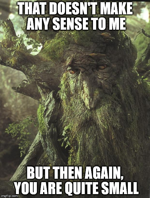 Tree Beard |  THAT DOESN'T MAKE ANY SENSE TO ME; BUT THEN AGAIN, YOU ARE QUITE SMALL | image tagged in tree beard | made w/ Imgflip meme maker