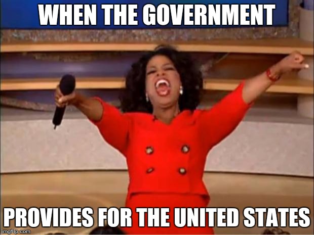 Oprah You Get A | WHEN THE GOVERNMENT; PROVIDES FOR THE UNITED STATES | image tagged in memes,oprah you get a | made w/ Imgflip meme maker