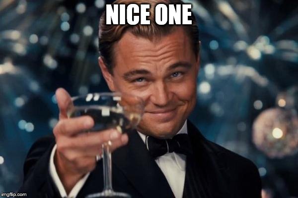 Leonardo Dicaprio Cheers Meme | NICE ONE | image tagged in memes,leonardo dicaprio cheers | made w/ Imgflip meme maker