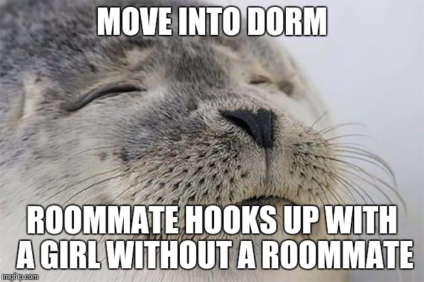 Satisfied Seal Meme | MOVE INTO DORM; ROOMMATE HOOKS UP WITH A GIRL WITHOUT A ROOMMATE | image tagged in memes,satisfied seal,AdviceAnimals | made w/ Imgflip meme maker