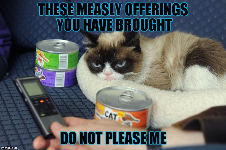 Canned food really? Make me a steak human! | THESE MEASLY OFFERINGS YOU HAVE BROUGHT; DO NOT PLEASE ME | image tagged in grumpy cat not amused,grumpy cat,offerings | made w/ Imgflip meme maker
