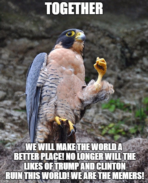 justice falcon | TOGETHER; WE WILL MAKE THE WORLD A BETTER PLACE! NO LONGER WILL THE LIKES OF TRUMP AND CLINTON RUIN THIS WORLD! WE ARE THE MEMERS! | image tagged in justice falcon | made w/ Imgflip meme maker