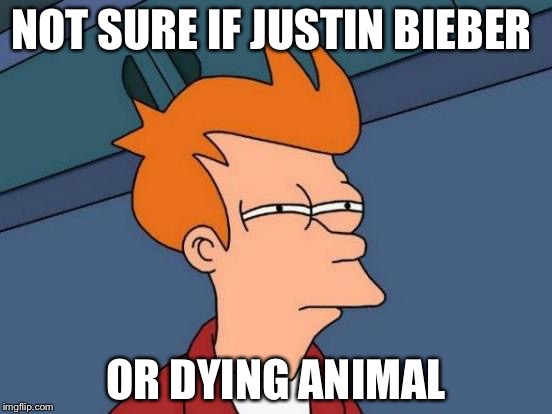 Futurama Fry | NOT SURE IF JUSTIN BIEBER; OR DYING ANIMAL | image tagged in memes,futurama fry | made w/ Imgflip meme maker