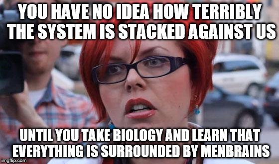 Angry Feminist | YOU HAVE NO IDEA HOW TERRIBLY THE SYSTEM IS STACKED AGAINST US; UNTIL YOU TAKE BIOLOGY AND LEARN THAT EVERYTHING IS SURROUNDED BY MENBRAINS | image tagged in angry feminist | made w/ Imgflip meme maker