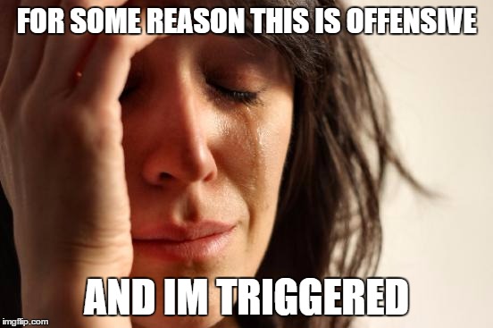 First World Problems Meme | FOR SOME REASON THIS IS OFFENSIVE AND IM TRIGGERED | image tagged in memes,first world problems | made w/ Imgflip meme maker