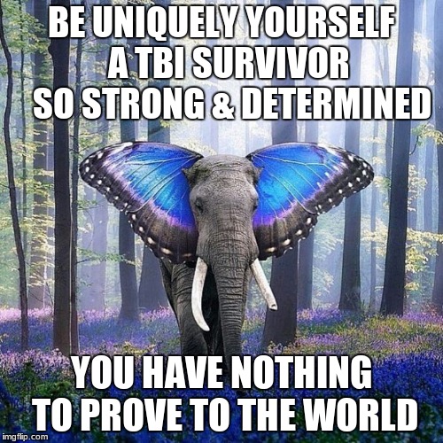 Be Yourself | BE UNIQUELY YOURSELF  A TBI SURVIVOR   SO STRONG & DETERMINED; YOU HAVE NOTHING TO PROVE TO THE WORLD | image tagged in butterfly ear elephant,memes | made w/ Imgflip meme maker