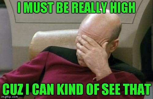 Captain Picard Facepalm Meme | I MUST BE REALLY HIGH CUZ I CAN KIND OF SEE THAT | image tagged in memes,captain picard facepalm | made w/ Imgflip meme maker