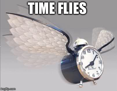 TIME FLIES | made w/ Imgflip meme maker