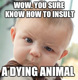 Skeptical Baby Meme | WOW. YOU SURE KNOW HOW TO INSULT A DYING ANIMAL | image tagged in memes,skeptical baby | made w/ Imgflip meme maker