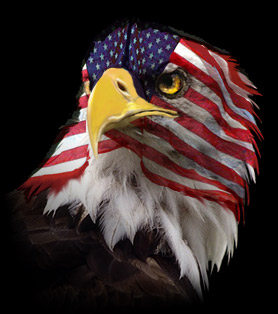 Flag Faced American Eagle Blank Meme Template