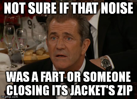 Confused Mel Gibson Meme | NOT SURE IF THAT NOISE; WAS A FART OR SOMEONE CLOSING ITS JACKET'S ZIP | image tagged in memes,confused mel gibson | made w/ Imgflip meme maker