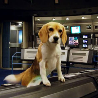 Captain Archer's Beagle Porthos Blank Meme Template