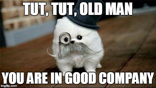 Sophisticated Dog | TUT, TUT, OLD MAN YOU ARE IN GOOD COMPANY | image tagged in sophisticated dog | made w/ Imgflip meme maker
