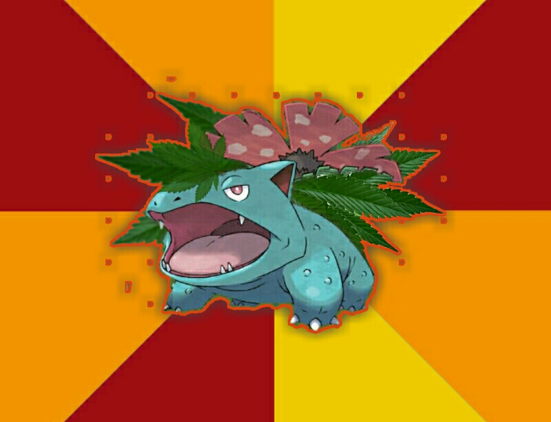 High Quality Venusaur  pokemon weed  green Blank Meme Template
