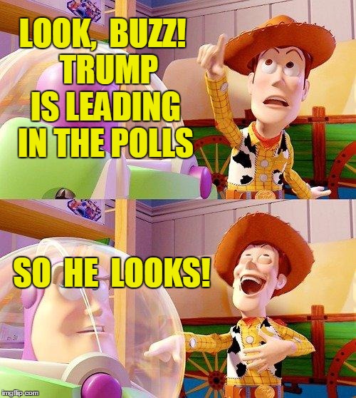As if!!  LOL | LOOK,  BUZZ!  TRUMP IS LEADING IN THE POLLS; SO  HE  LOOKS! | image tagged in buzz look an alien | made w/ Imgflip meme maker