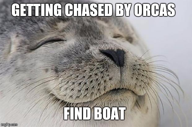 Satisfied Seal | GETTING CHASED BY ORCAS; FIND BOAT | image tagged in memes,satisfied seal,funny | made w/ Imgflip meme maker
